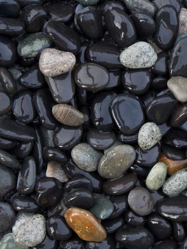 Beach Pebbles 8 - 16mm naß