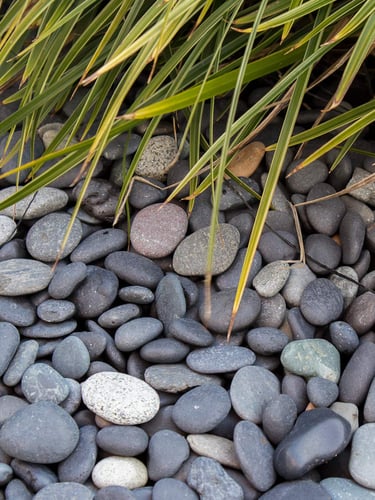 Beach Pebbles 16 - 25mm verlegt