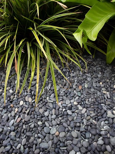Beach Pebbles Schwarz 5 - 8mm (populär) verlegt
