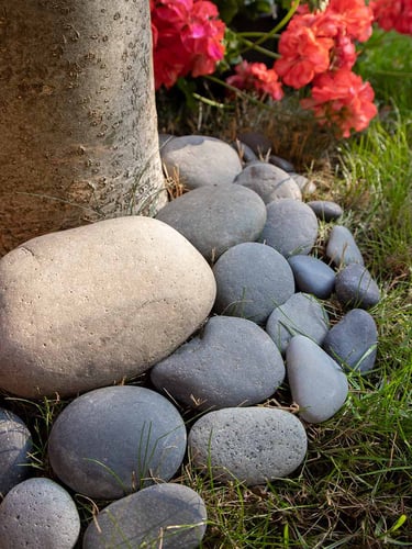 Beach Pebbles Large 30 - 60mm (3 - 6cm) verlegt