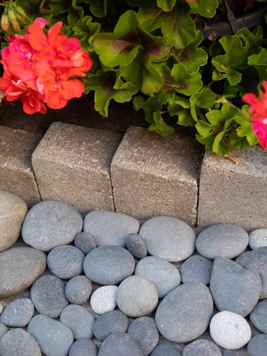 Beach Pebbles Schwarz Large 30 - 60mm (3 - 6cm) verlegt