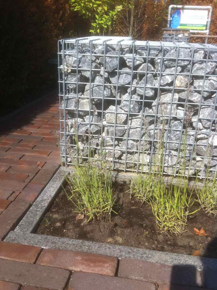 Ardenner grau Bruchsteine 60 - 90mm (6 - 9cm) im Gabionen