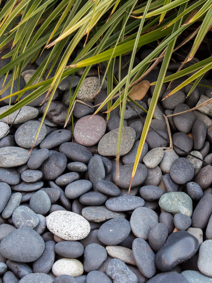 Beach Pebbles  16 - 25mm verlegt