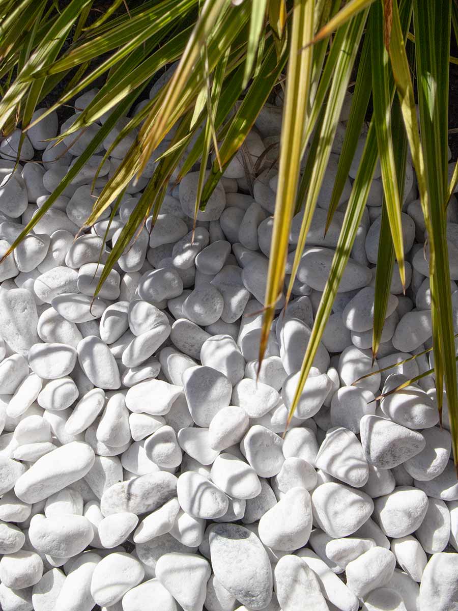 Carrara Kies 16 - 25mm (angelegt)