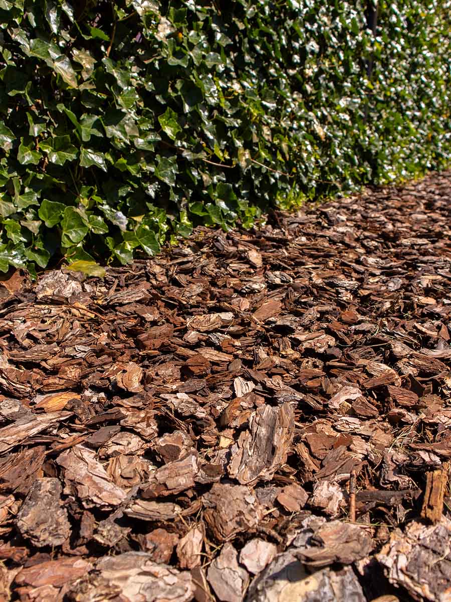 Rindenmulch 25 - 40mm verlegt