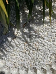 EuroGravel Kiesgitter PLUS mit Unkrautvlies weiß pro qm