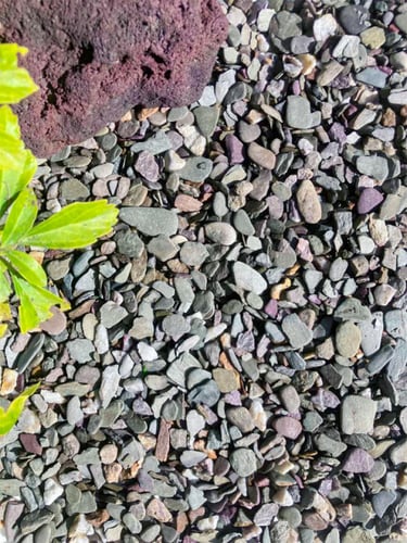 Flachkorn 8 - 16mm verlegt