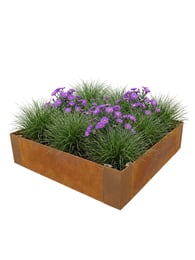 Mutli-Edge ADVANCE Cortenstahl Pflanzkübel 60x60x20cm verlegt