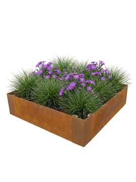 Mutli-Edge ADVANCE Cortenstahl Pflanzkübel 60x60x20cm verlegt