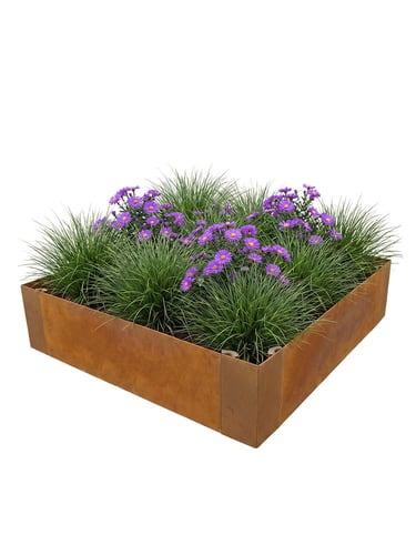 Mutli-Edge ADVANCE Cortenstahl Pflanzkübel 60x60x20cm verlegt