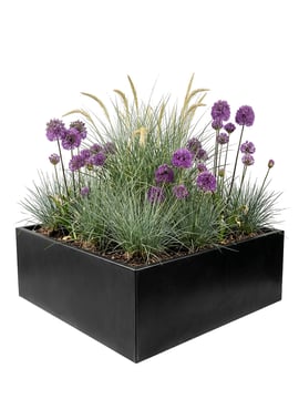 Multi-Edge FLORA Pflanzkübel Schwarz