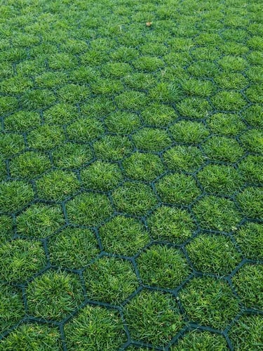 Rasengitter Easygravel 3XL Grün verlegt