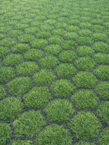 Rasengitter Easygravel 3XL schwarz verlegt