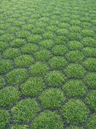 Rasengitter Easygravel 3XL Schwarz pro qm