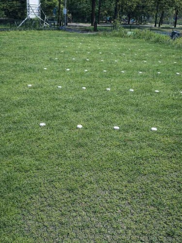 Rasengitter Easygravel 3XL Grün verlegt