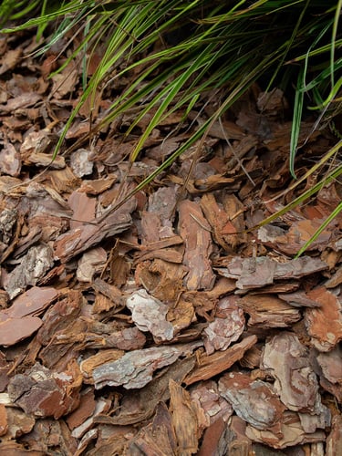 Rindenmulch 25 - 40mm verlegt
