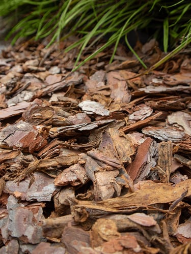 Rindenmulch 25 - 40mm verlegt