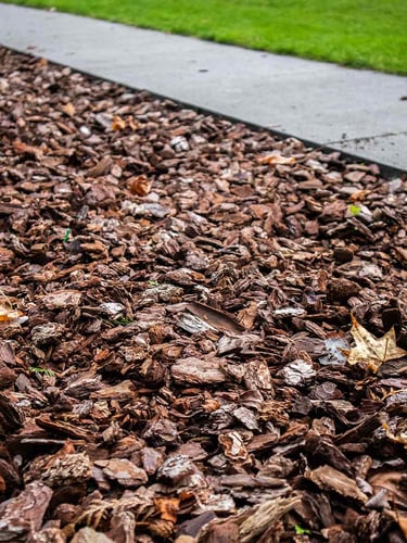 Rindenmulch verlegt