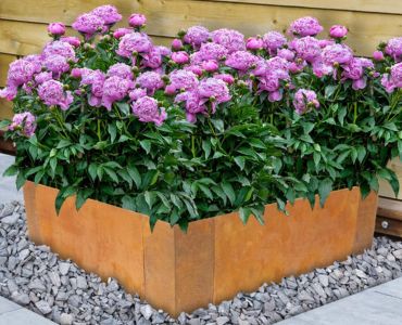 Warum Cortenstahl Typ A die richtige Wahl für Sie ist