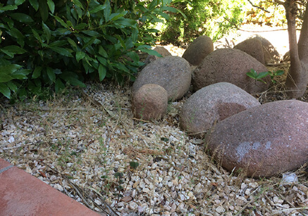 Unkraut Kies Garten Unkraut Kies Garten