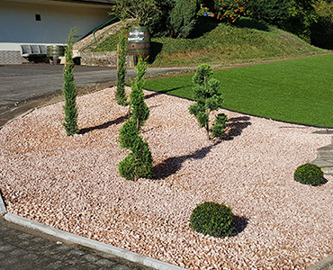 Moderne Garten Pflanzen Moderne Garten Pflanzen