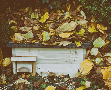 Ein tierfreundlicher Garten Versteck