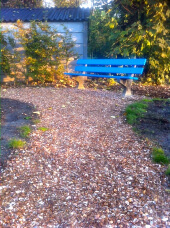 Strandgarten - Gartenweg mit Muscheln