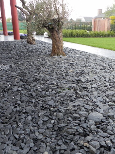 Wartungsfreier Vorgarten mit Canadian Slate schwarz Wartungsfreier Vorgarten mit Canadian Slate schwarz