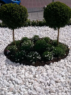 Wartungsfreier Vorgarten mit Marmor weiss splitt Wartungsfreier Vorgarten mit Marmor weiss splitt